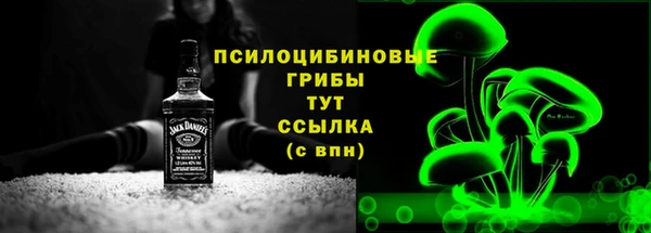 прущие грибы Алексеевка