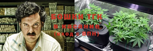 ПСИЛОЦИБИНОВЫЕ ГРИБЫ Алексин