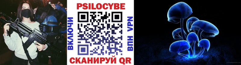 наркота  Выкса  Псилоцибиновые грибы мухоморы 